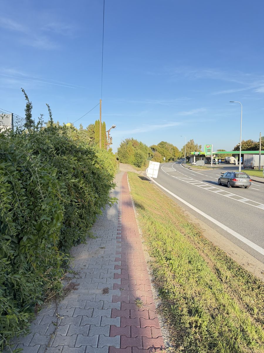 Zarostlý chodník – dnes