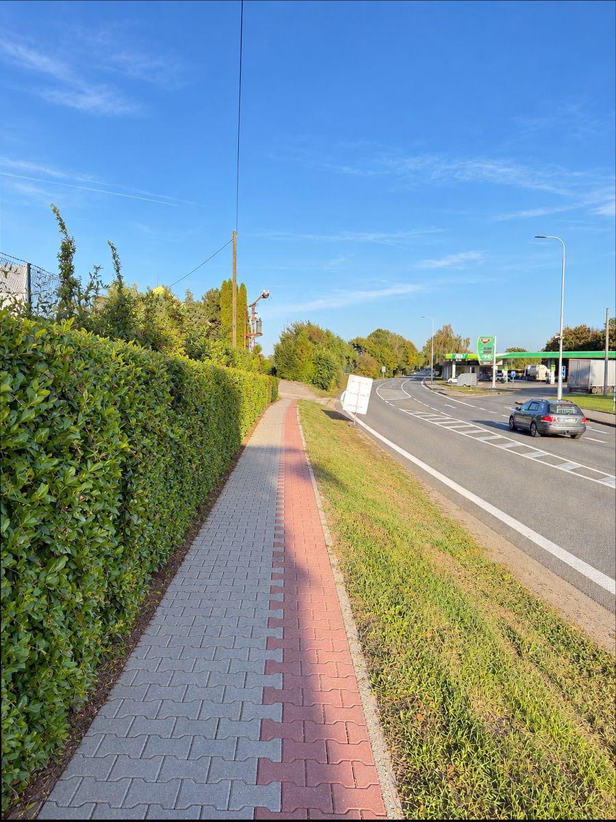 Zarostlý chodník – náš záměr (vizualizace)